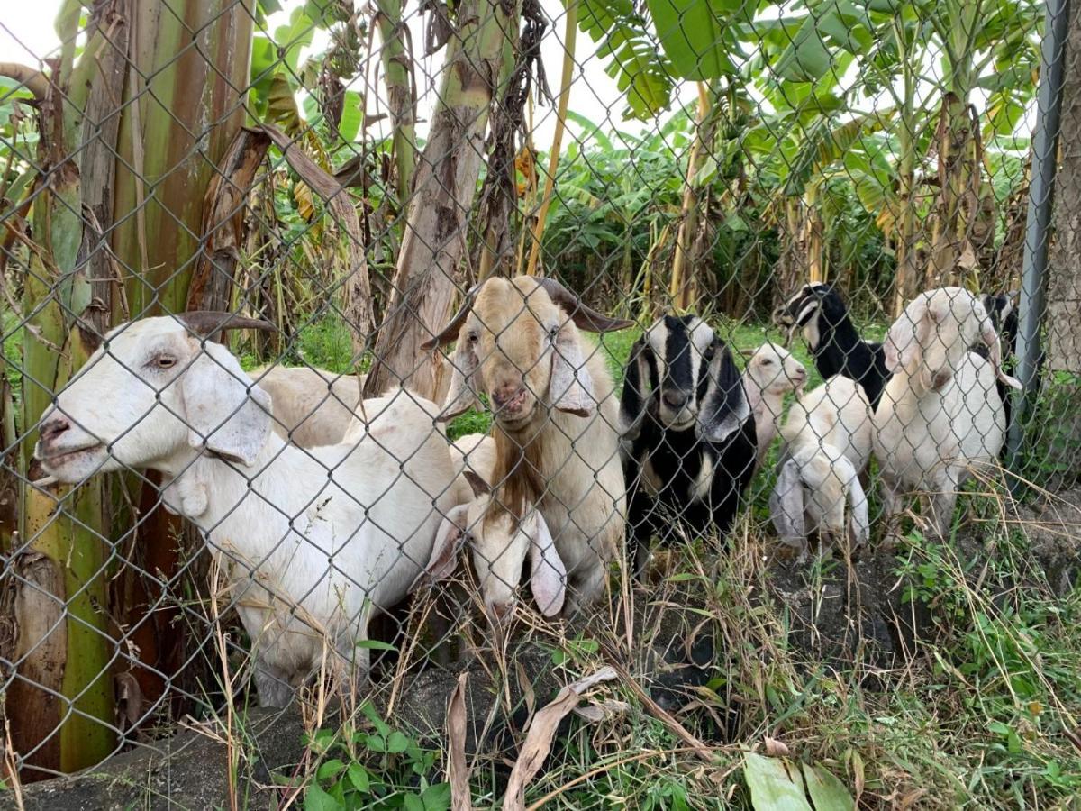 Homestay Tay Xa Trang Bom Exteriör bild