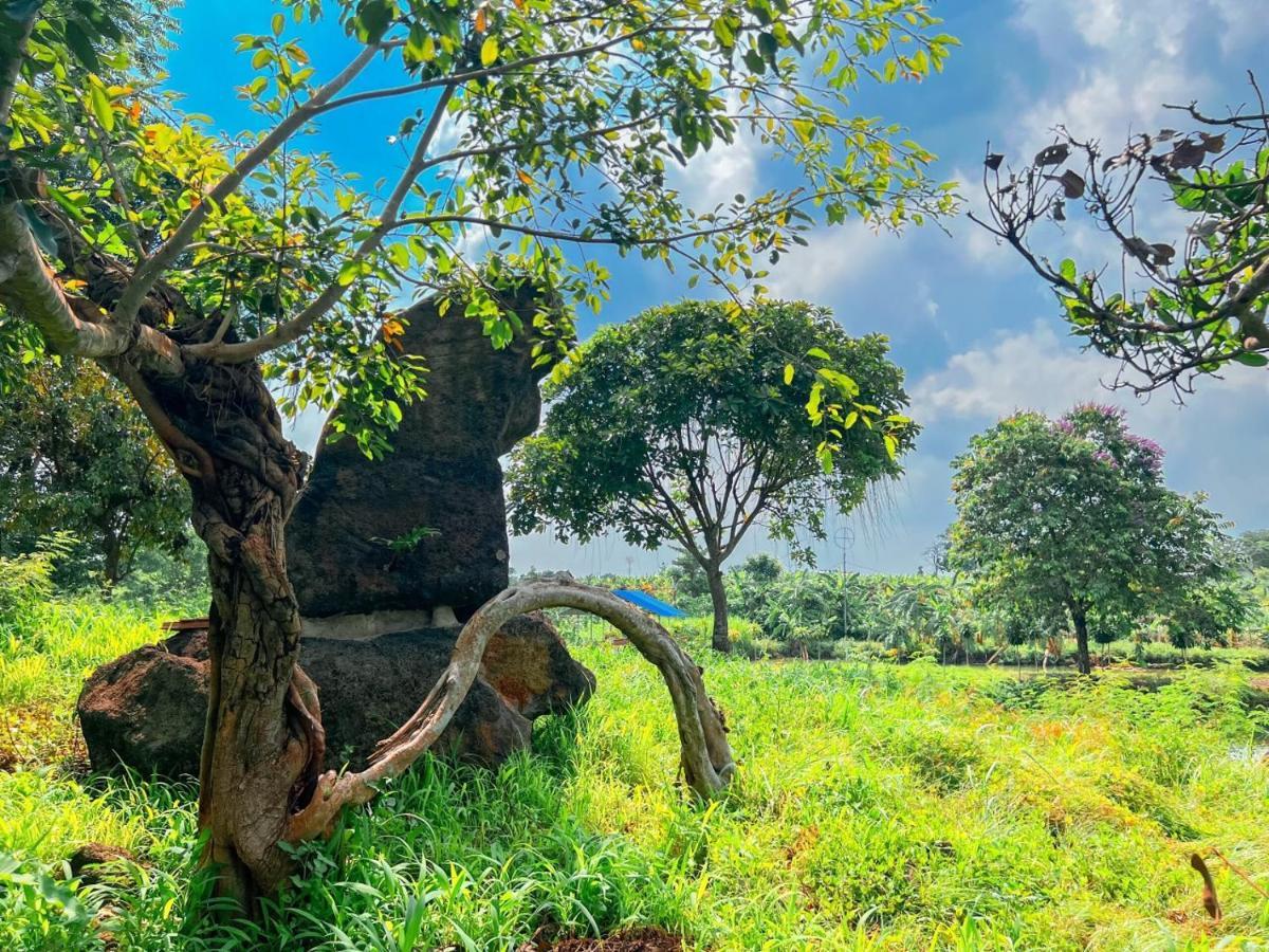 Homestay Tay Xa Trang Bom Exteriör bild
