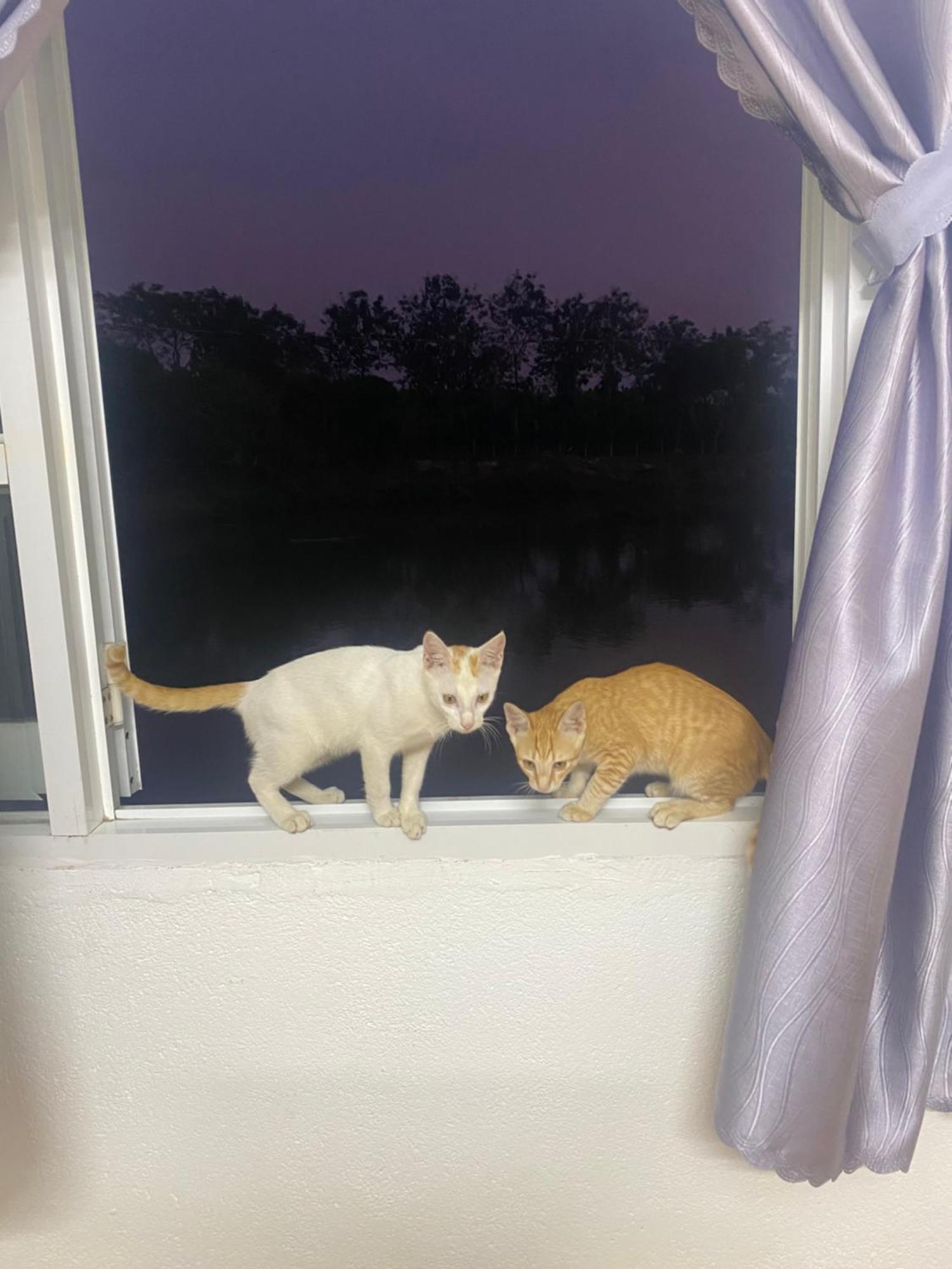 Homestay Tay Xa Trang Bom Exteriör bild